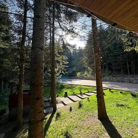 Villa Ялинка Myhove Esterno foto