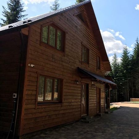 Villa Ялинка Myhove Esterno foto