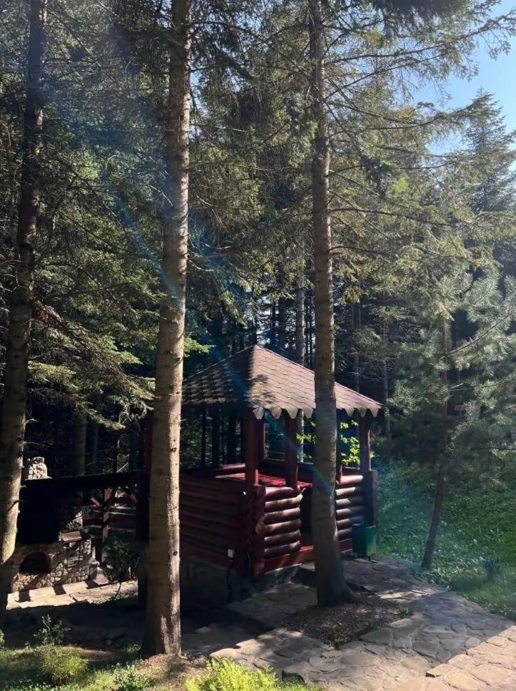 Villa Ялинка Myhove Esterno foto