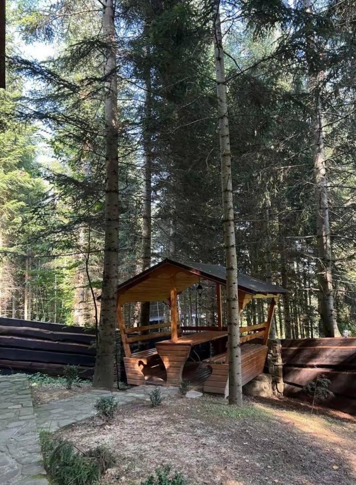 Villa Ялинка Myhove Esterno foto