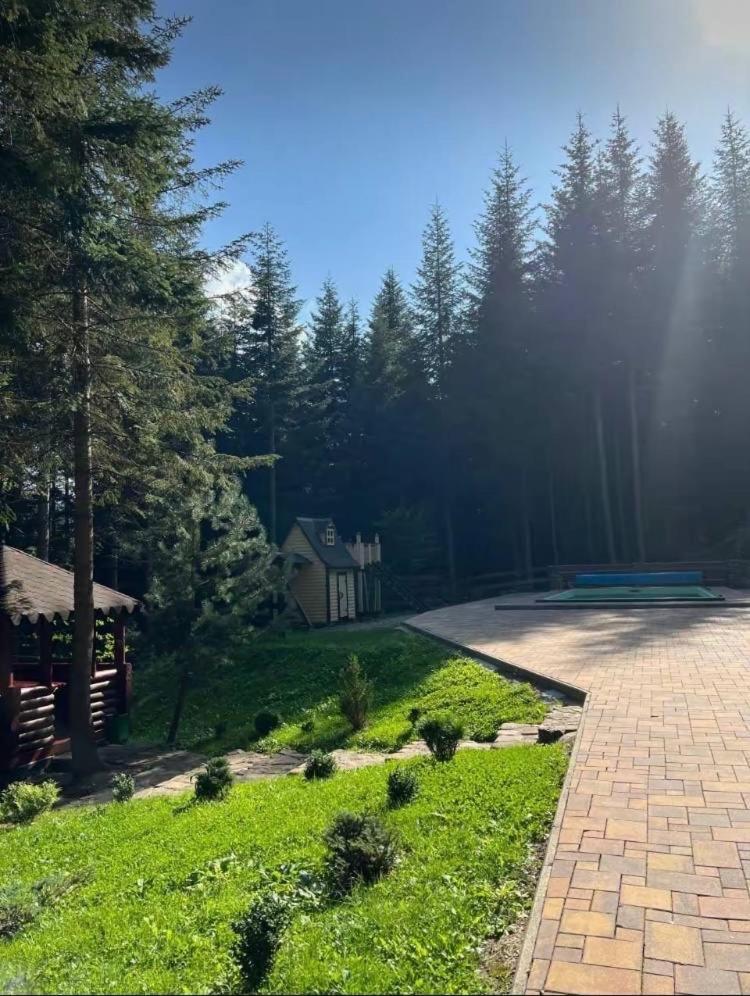 Villa Ялинка Myhove Esterno foto