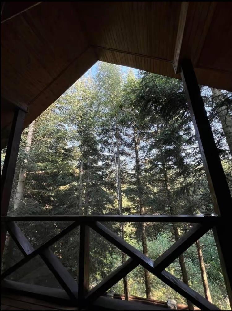 Villa Ялинка Myhove Esterno foto