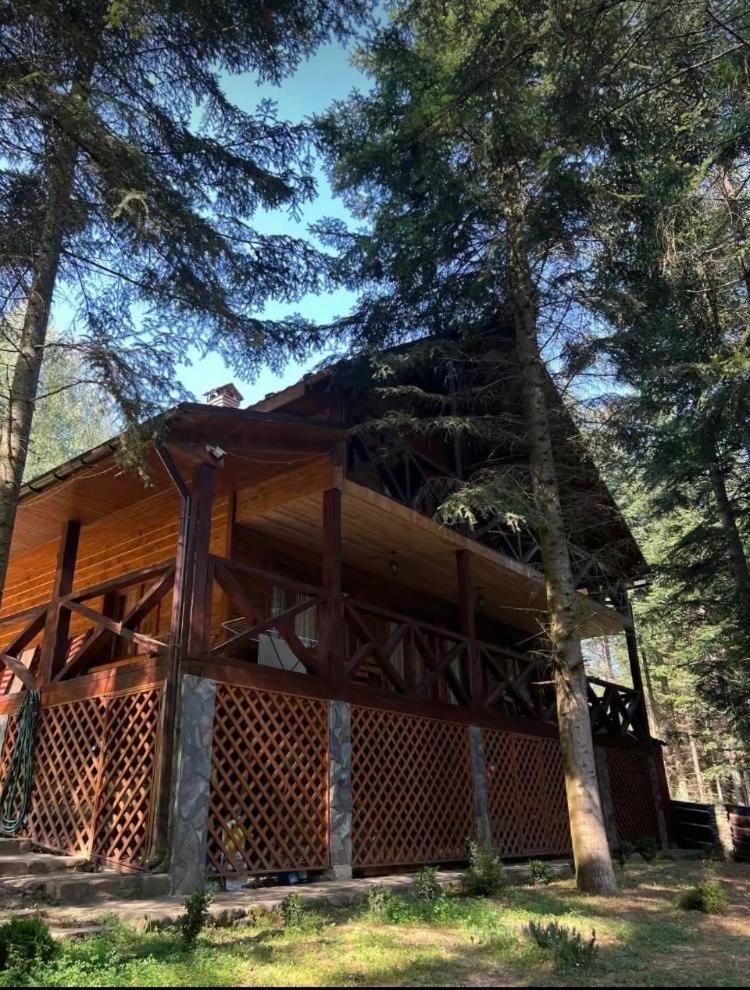 Villa Ялинка Myhove Esterno foto