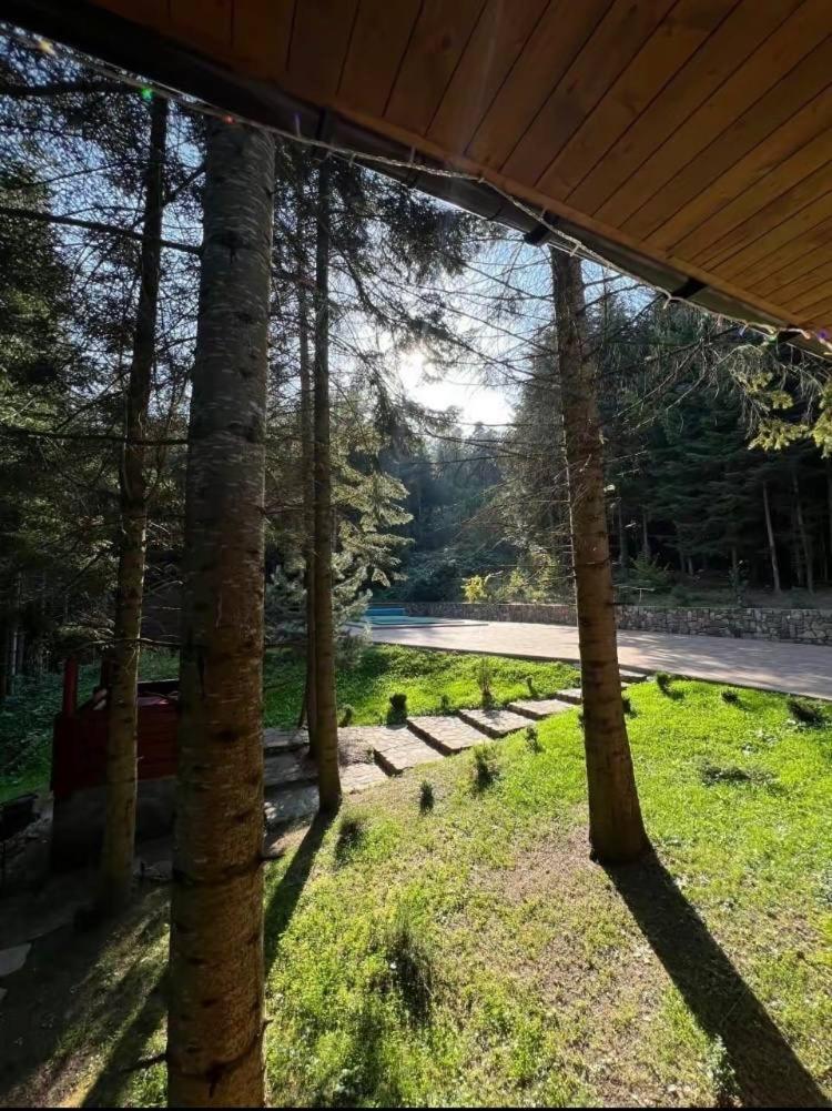 Villa Ялинка Myhove Esterno foto