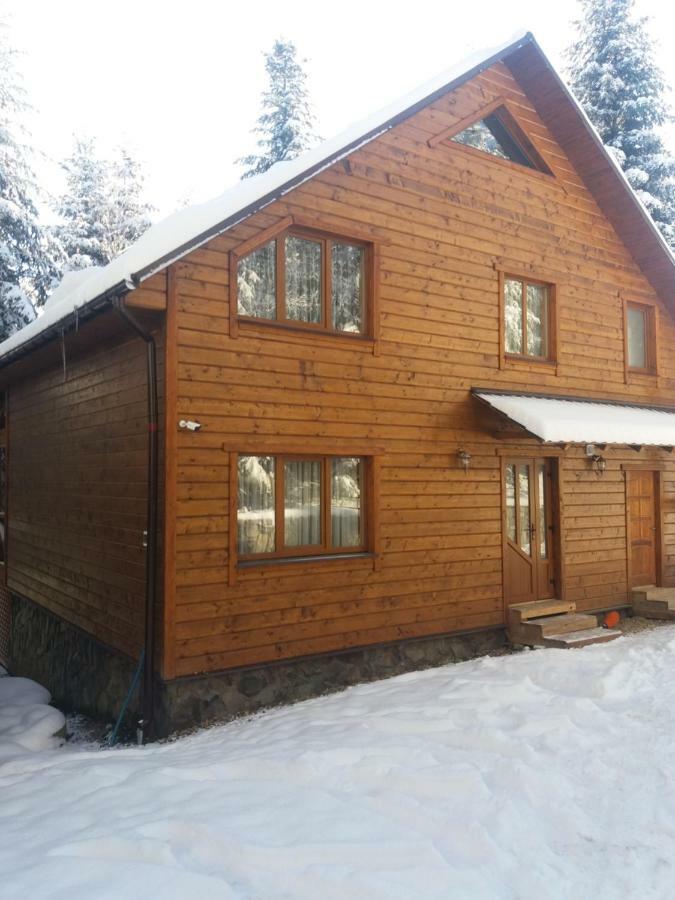 Villa Ялинка Myhove Esterno foto