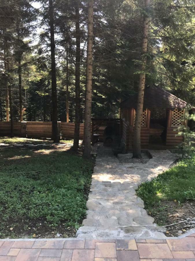 Villa Ялинка Myhove Esterno foto